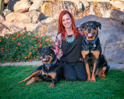 Expert Dog Training by Karen Harrell and Dynamic Dog Training AZ - Prescott